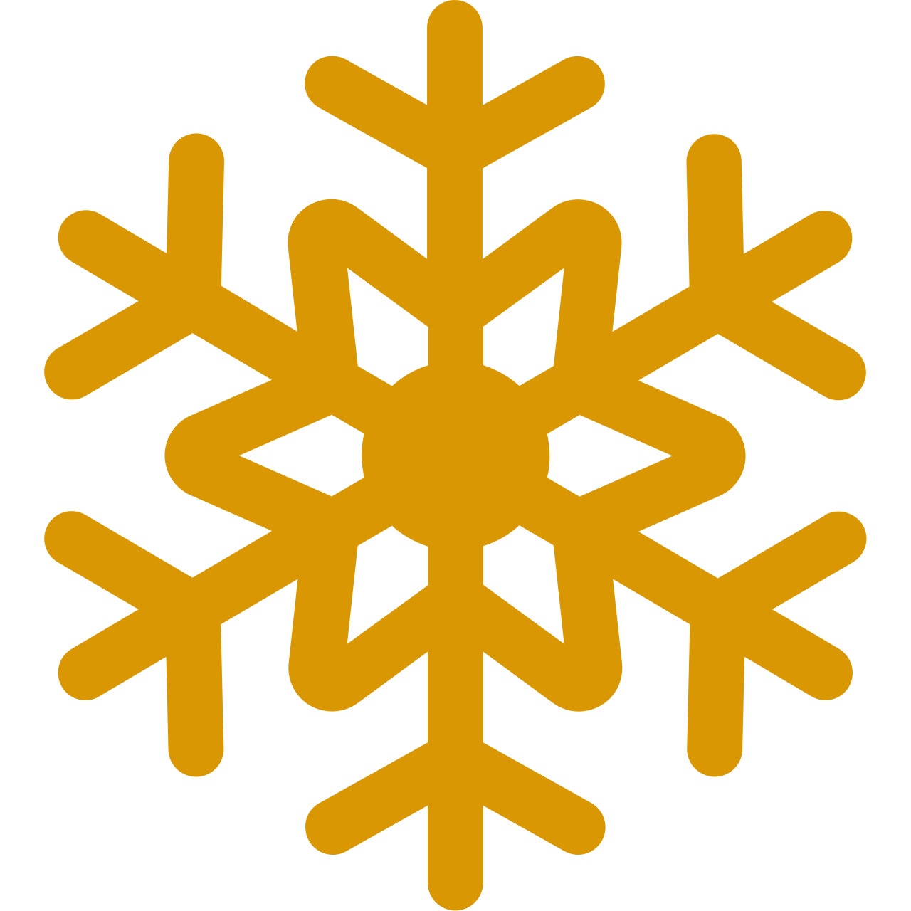 snowflake icon