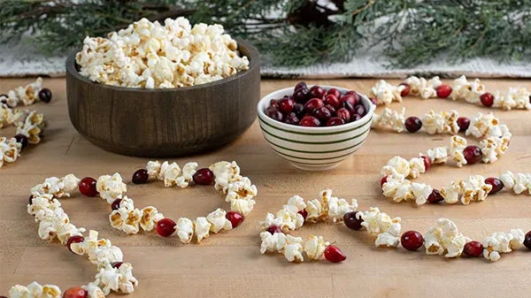 skinnypop popcorn and cranberry garland